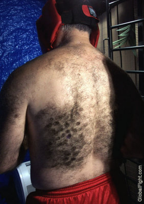 boxers very hairy back neck.jpg
