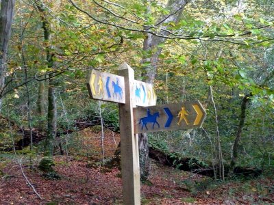 Colourful signage