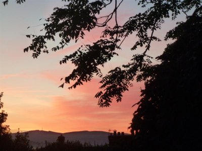 Sunrise from my backdoor