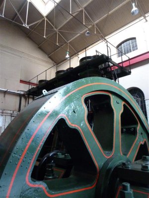P1030481 (Medium).JPG