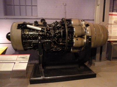 P1030517 (Medium).JPG