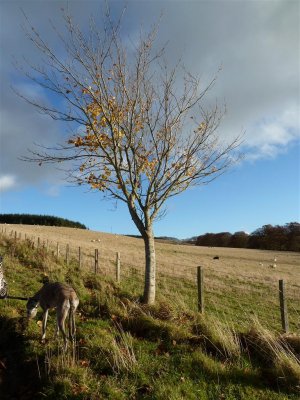 P1120751