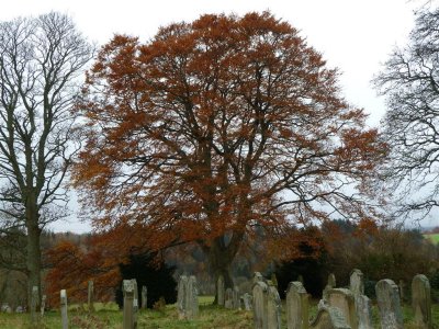 Preston cemetery