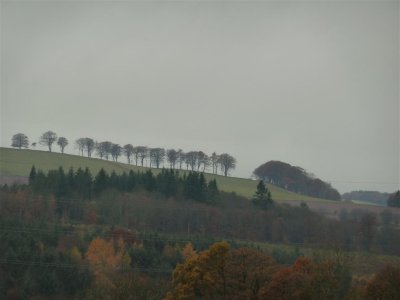 Preston cemetery