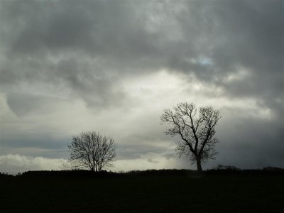 P1120953 (Medium).JPG