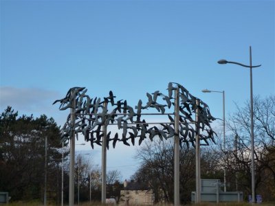 The birds in Hoylake