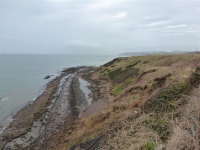 View east from the car park at Cove