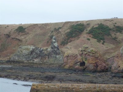 Long rock and Red rock, Cove harbour
