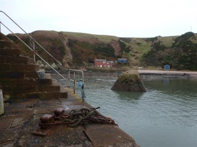 Cove harbour