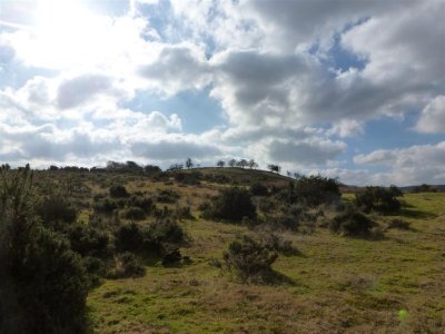 Summit near the non-stile