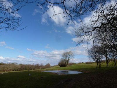 Golf course view