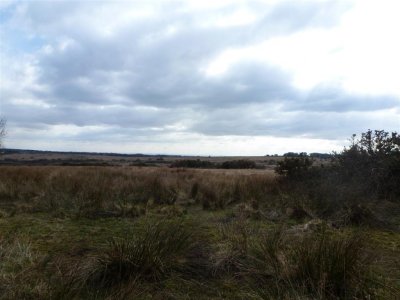 Clouds loom across the common