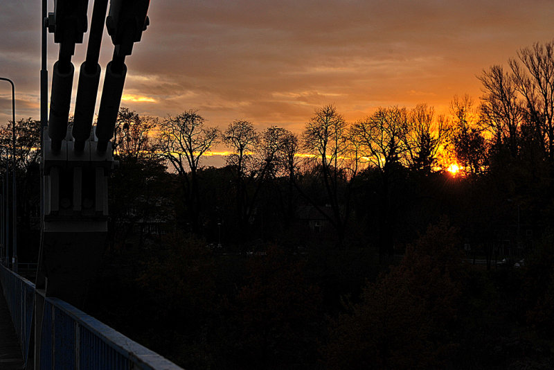 DSC_3431pb.jpg