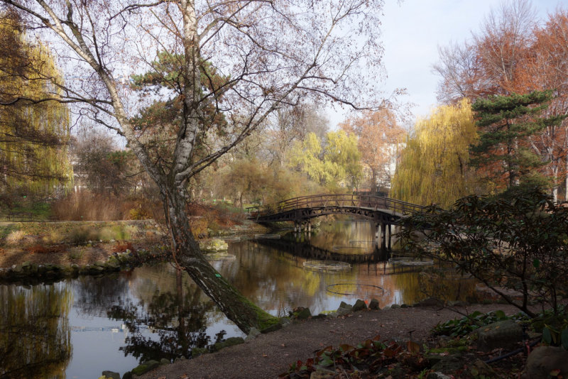 Novembers light in Botanical Garden