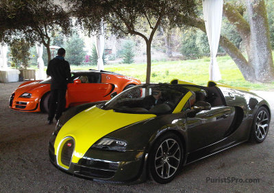 BugattiVeyronSuperSportVite.jpg