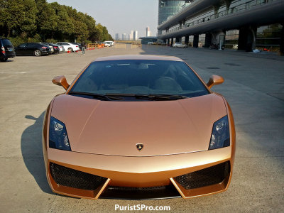 gallardo