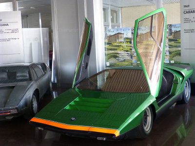 Carabo0272.jpg