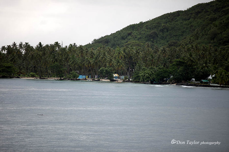 Mooea French Polynesia