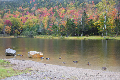 Autumn In Vermont