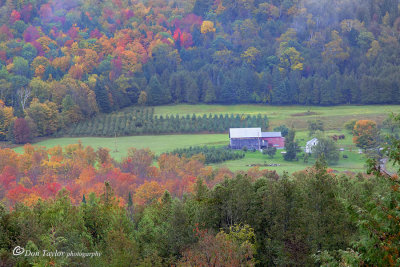 Autumn In Vermont