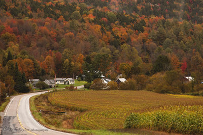 Autumn In Vermont