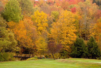 Autumn In Vermont