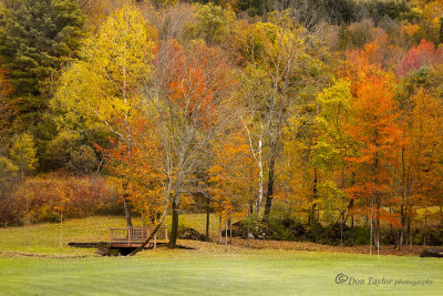 Autumn In Vermont