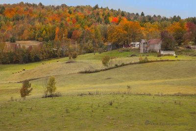 Autumn In Vermont