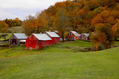 Jenne Farm