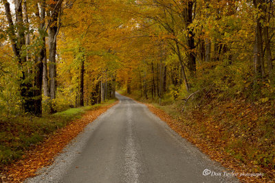 Autumn In Vermont