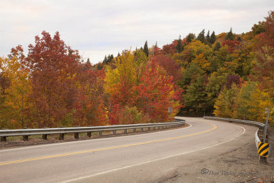 Autumn In Vermont