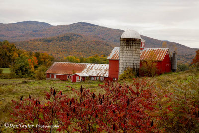 Autumn In Vermont