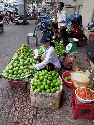 Ho Chi Minh City     (Saigon)