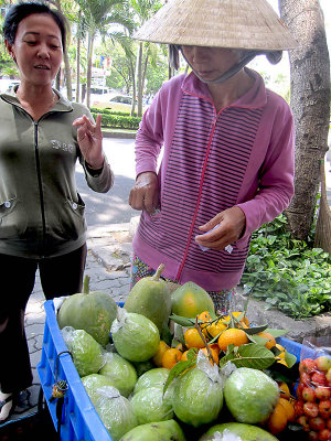 Ho Chi Minh City     (Saigon)