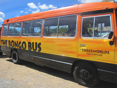 The bongo bus