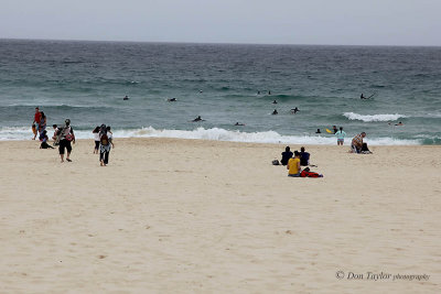 Bondi Beach