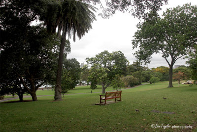  Royal Botanic Gardens