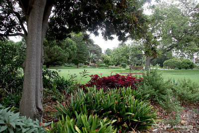  Royal Botanic Gardens