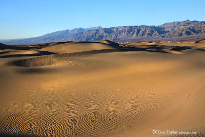 Mesquite dunes