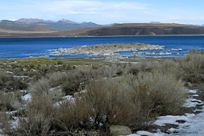 Eastern Sierra