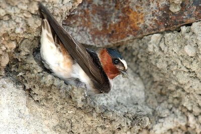 IMG_5326-2.tif