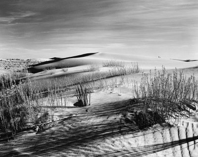 Desert View, White Sands National Park