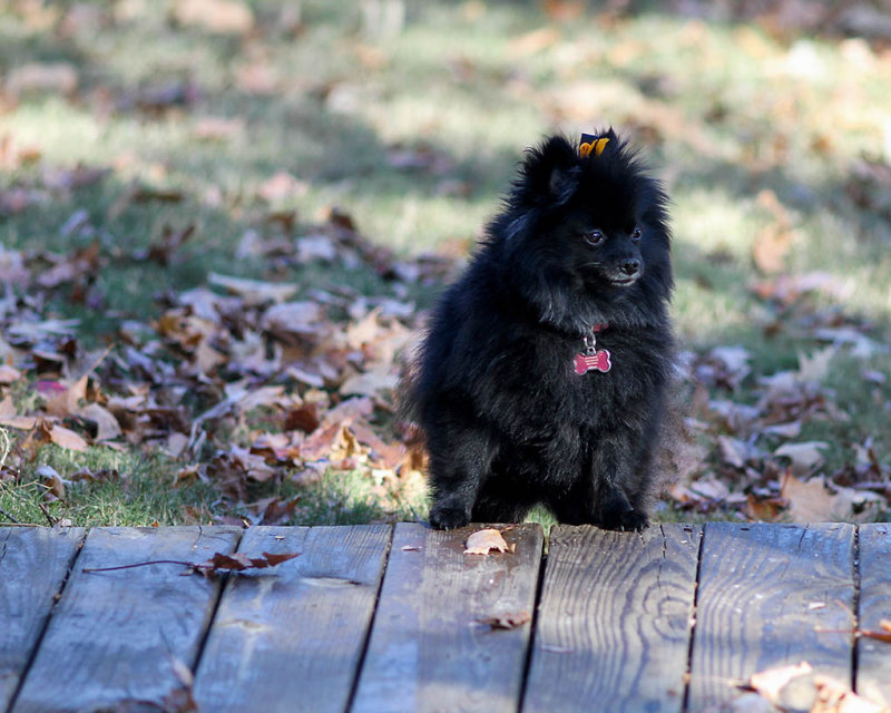 Sophie.