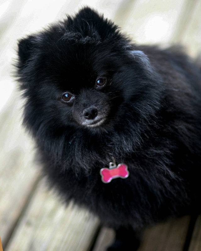 Sophie
