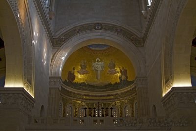IMG_8770.jpg