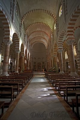 IMG_6506.jpg