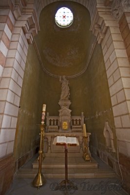 IMG_6517.jpg