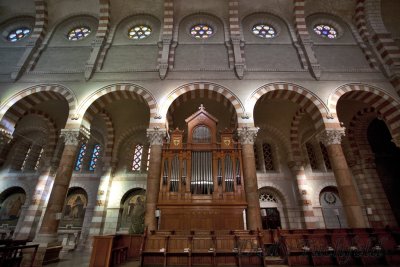 IMG_6533.jpg