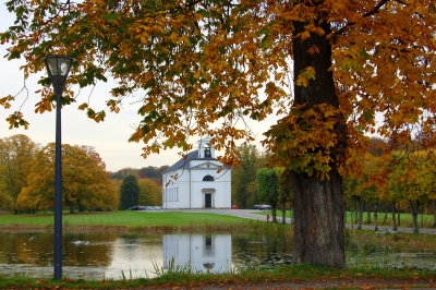Autumn colors