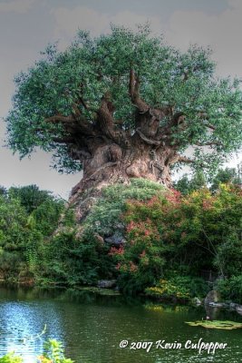 Tree of Life